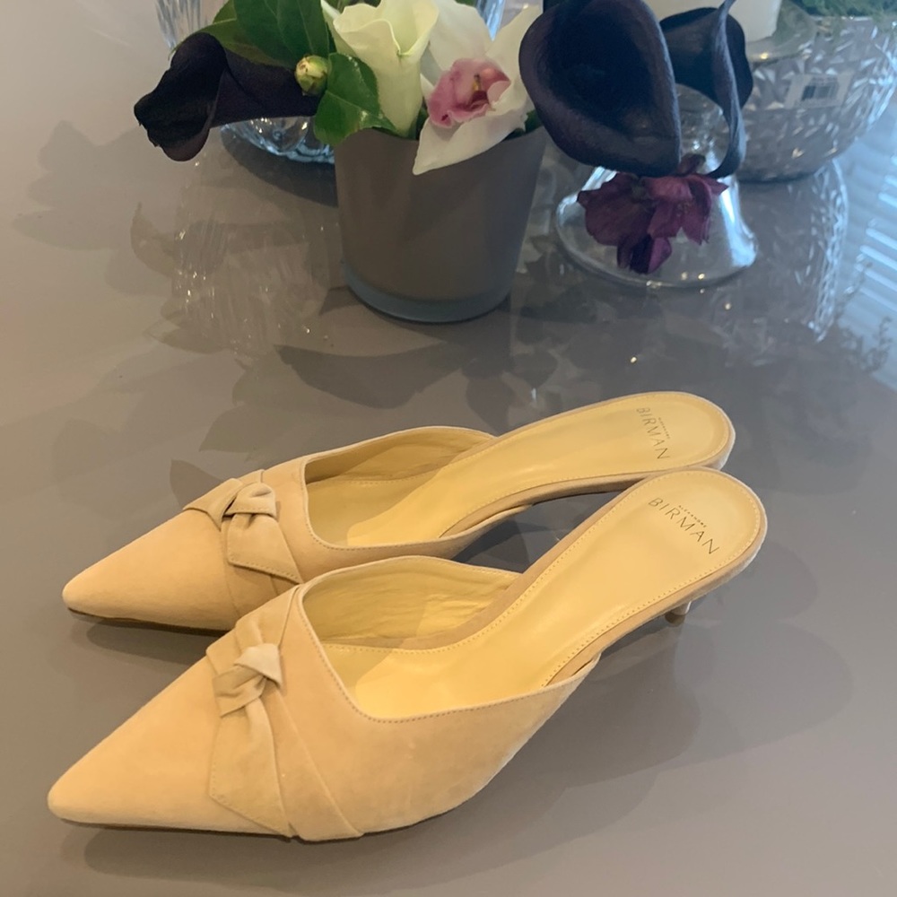 Alexandre Birman size 39 never worn new 2” heal